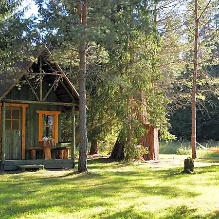 Saia Forest House Vose