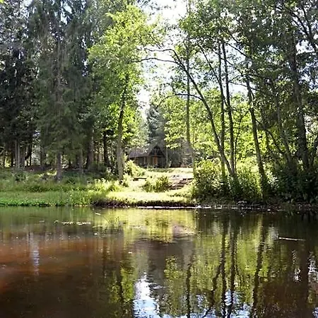 Otel Saia Forest House