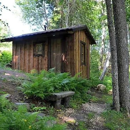 Saia Forest House Otel