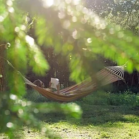 Saia Forest House