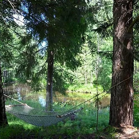 Otel Saia Forest House Vose