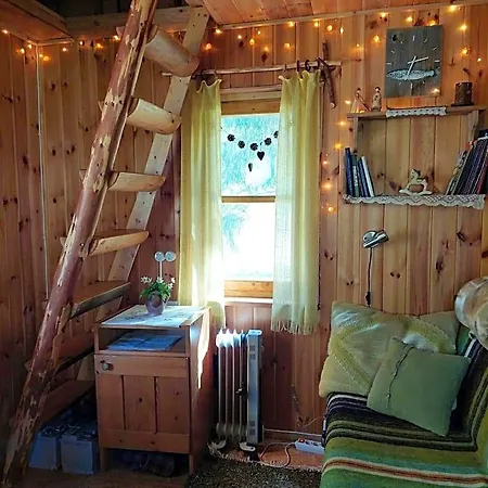 Saia Forest House